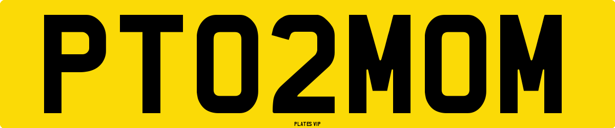 PT 02 MOM Number Plate