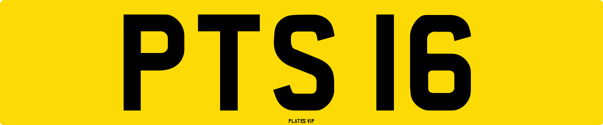 PTS 16 Number Plate