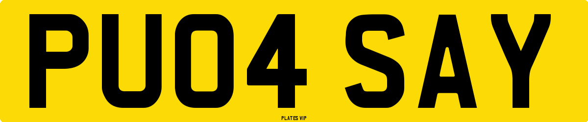 PU04 SAY Number Plate