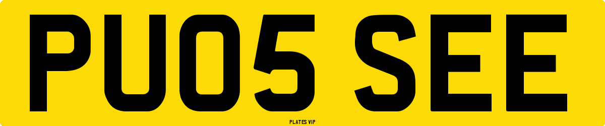 PU05 SEE Number Plate