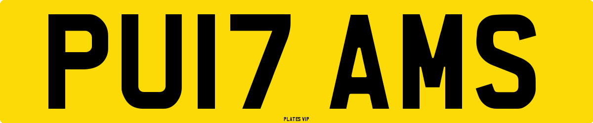 PU17 AMS Number Plate
