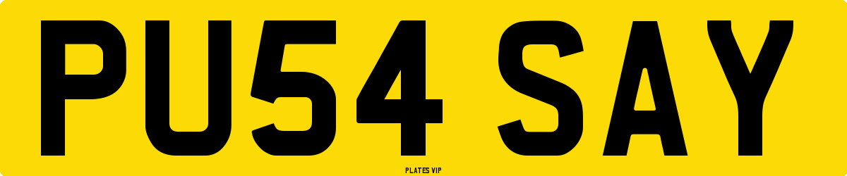 PU54 SAY Number Plate