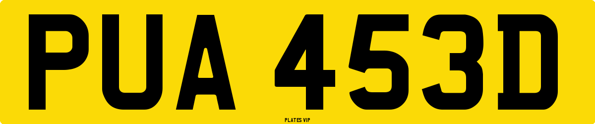 PUA 453D Number Plate