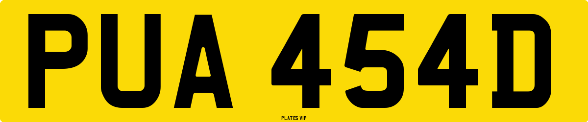 PUA 454D Number Plate