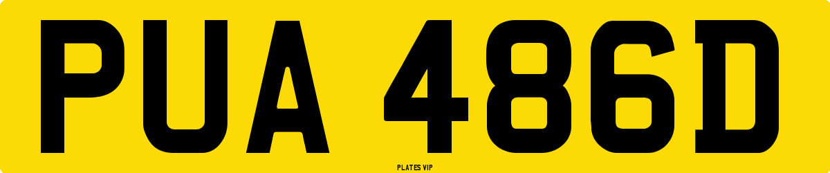 PUA 486D Number Plate