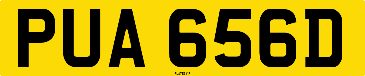 PUA 656D Number Plate