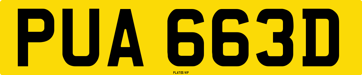 PUA 663D Number Plate