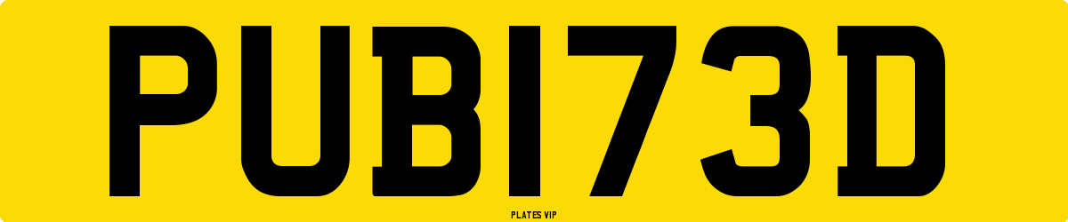 PUB  173D Number Plate