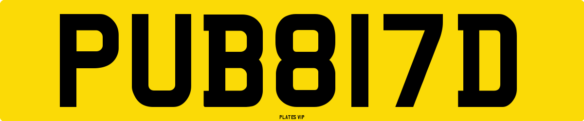 PUB  817D Number Plate