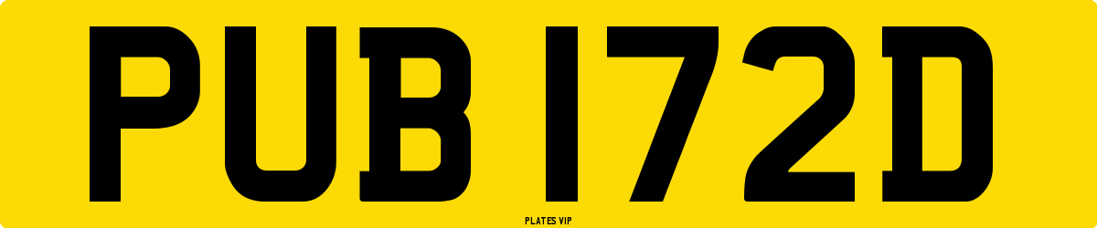 PUB 172D Number Plate