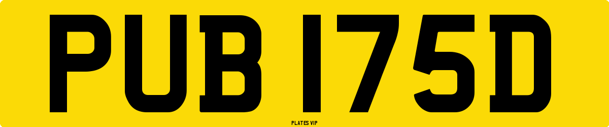 PUB 175D Number Plate