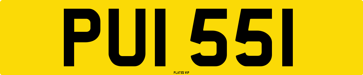 PUI 551 Number Plate