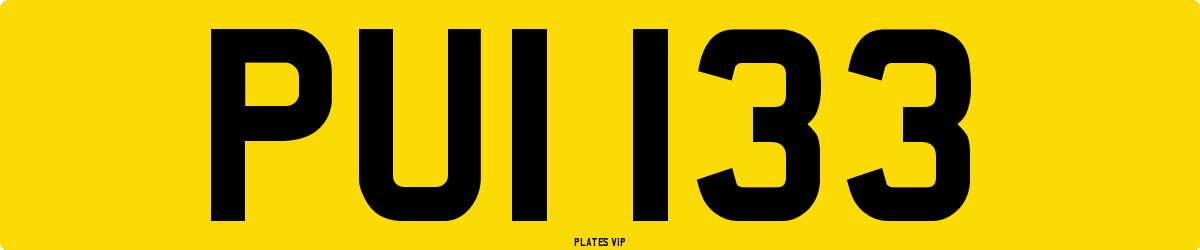 PUI I33 Number Plate