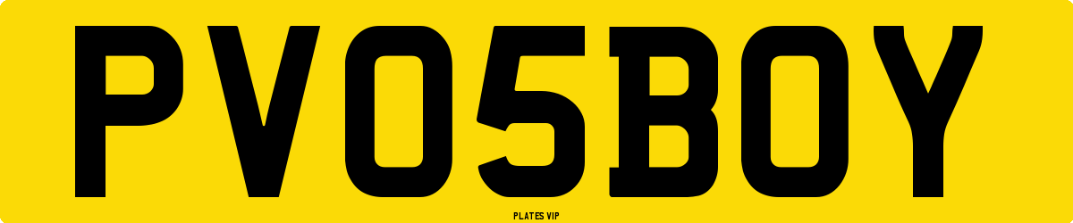 PV 05 BOY Number Plate