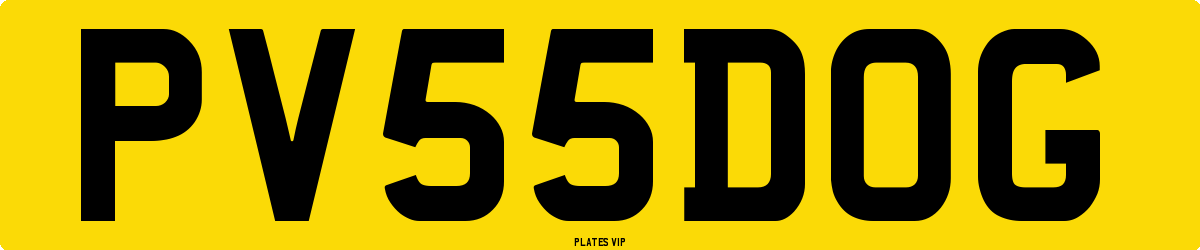 PV 55 DOG Number Plate
