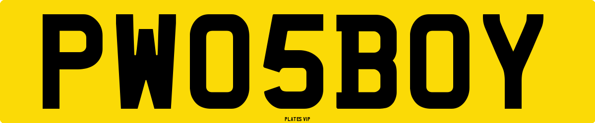 PW 05 BOY Number Plate