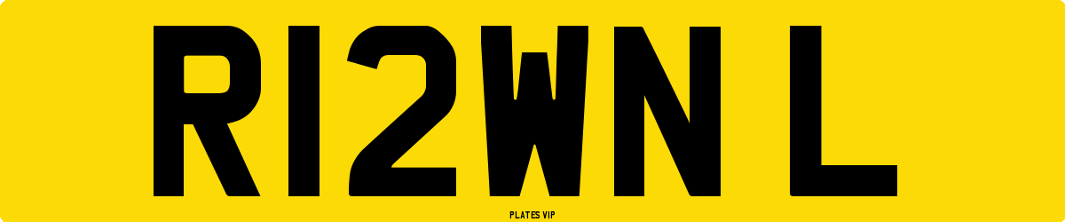 R12WN L Number Plate