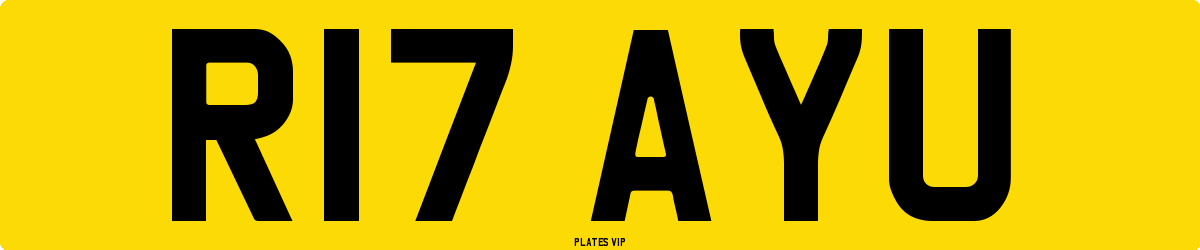 R17 AYU Number Plate
