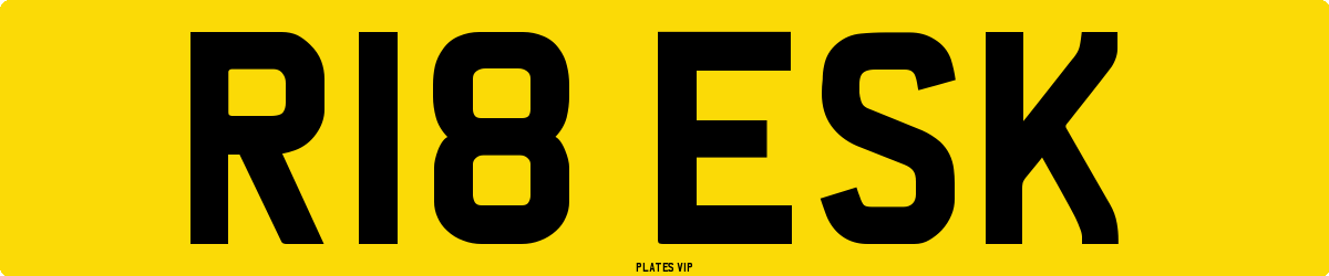 R18 ESK Number Plate