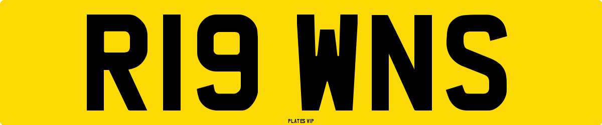 R19 WNS Number Plate