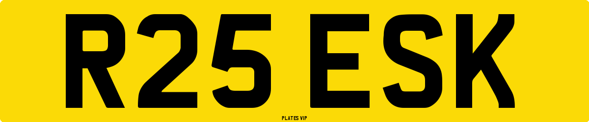 R25 ESK Number Plate