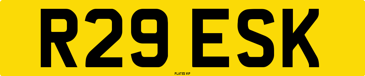 R29 ESK Number Plate