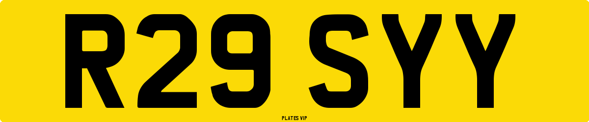 R29 SYY Number Plate