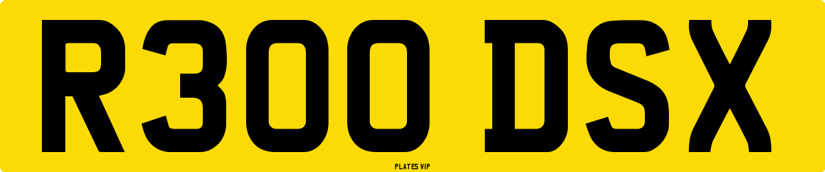 R300 DSX Number Plate