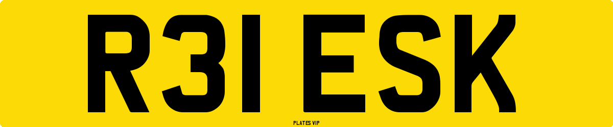 R31 ESK Number Plate