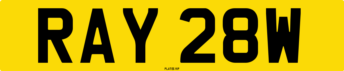 RAY 28W Number Plate