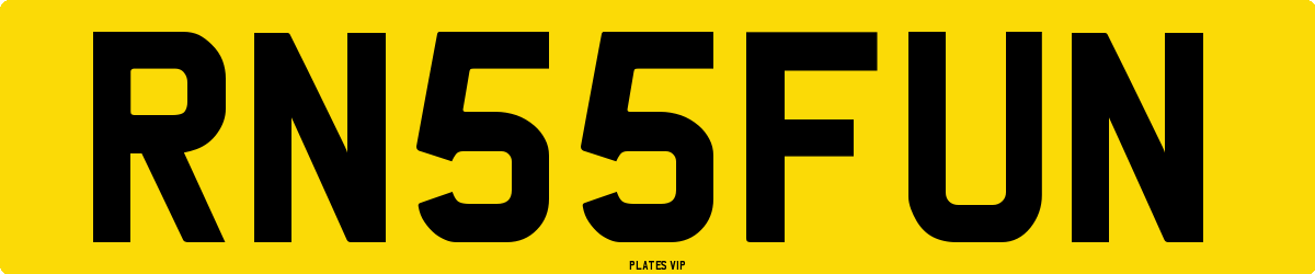 RN 55 FUN Number Plate