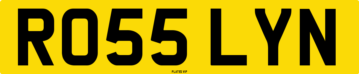 RO55 LYN Number Plate