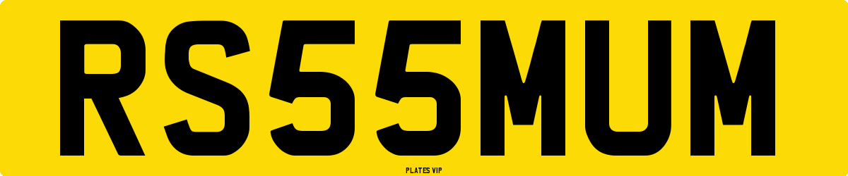RS 55 MUM Number Plate