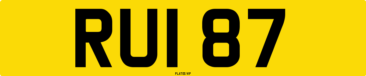 RUI 87 Number Plate