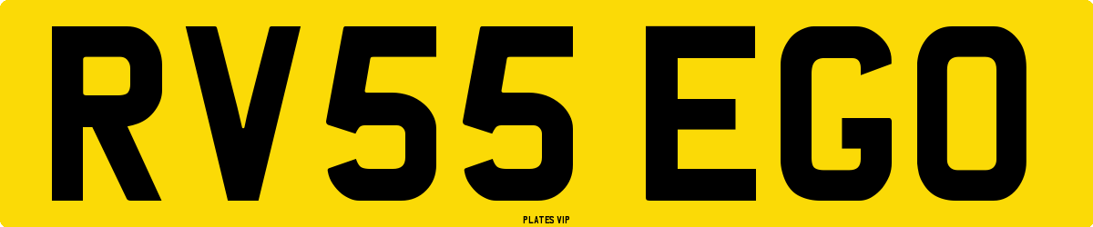 RV55 EGO Number Plate