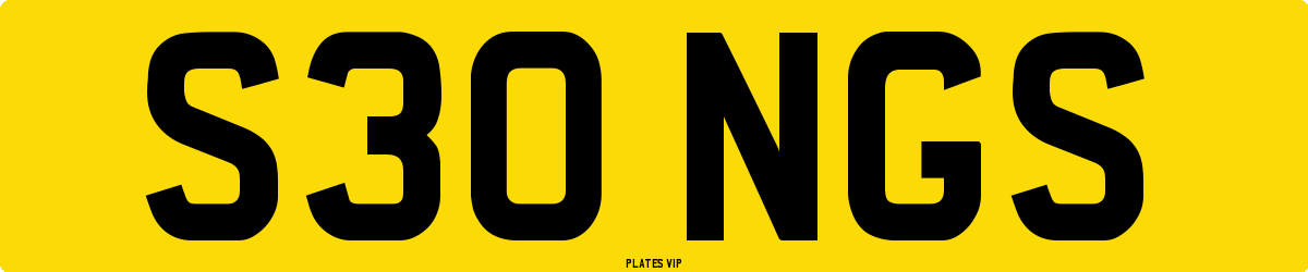 S30 NGS Number Plate