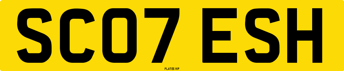 SC07 ESH Number Plate