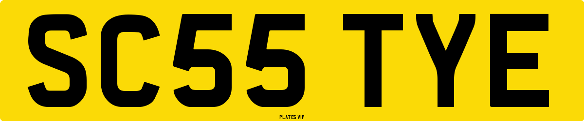 SC55 TYE Number Plate