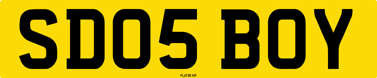 SD05 BOY Number Plate