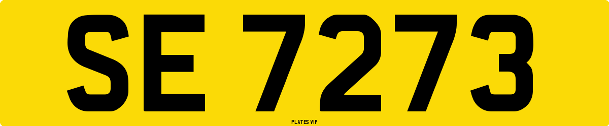 SE 7273 Number Plate