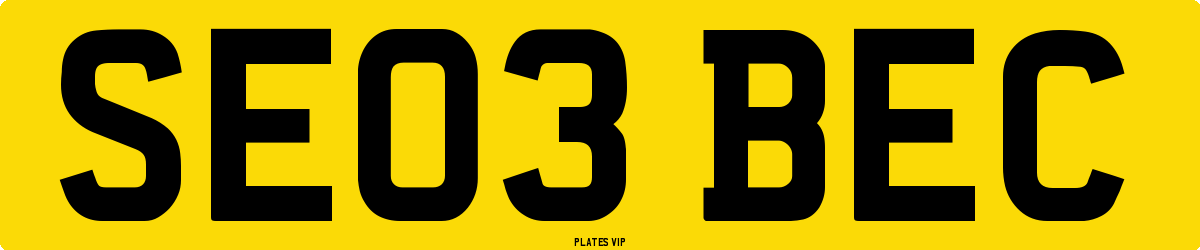 SE03 BEC Number Plate