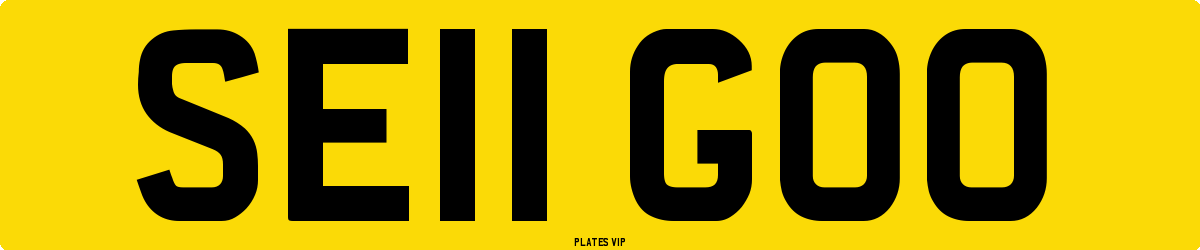 SE11 GOO Number Plate