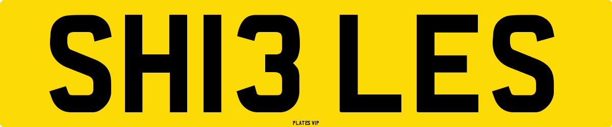 SH13 LES Number Plate