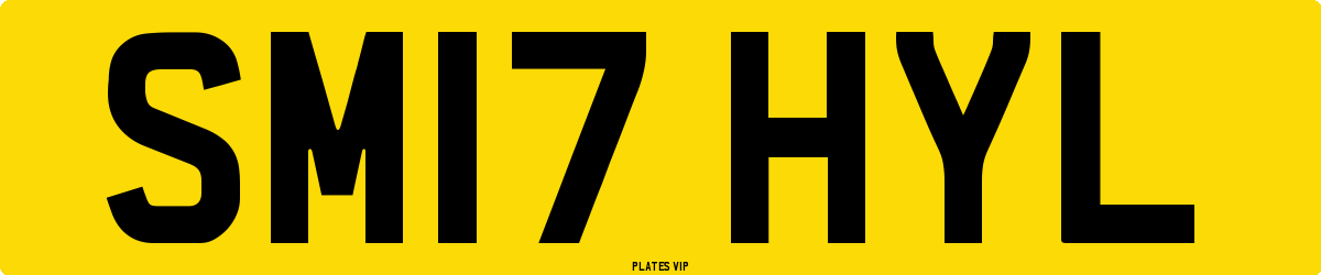 SM17 HYL Number Plate
