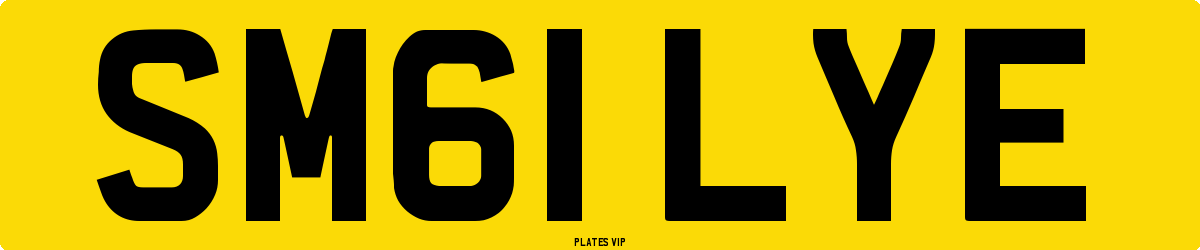 SM61 LYE Number Plate