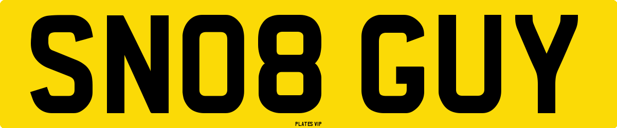 SN08 GUY Number Plate