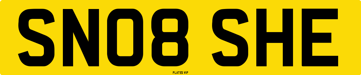 SN08 SHE Number Plate