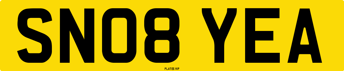 SN08 YEA Number Plate