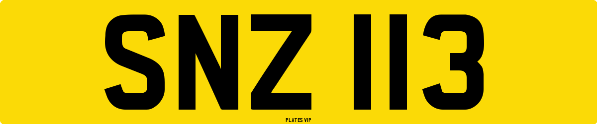 SNZ 113 Number Plate