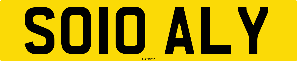 SO10 ALY Number Plate
